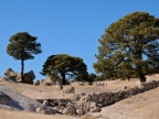 mexiko-2012-tag-02-creel-0190