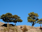 mexiko-2012-tag-02-creel-0195