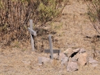 mexiko-2012-tag-02-creel-0196