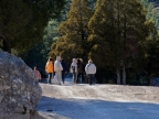 mexiko-2012-tag-02-creel-0233