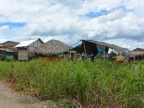 06-fahrt-maldona-1172-amazonien-2013