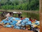 10-fahrt-america-sena-2011-amazonien-2013