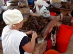 11-riberalta-2255-amazonien-2013