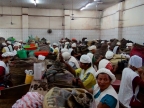 11-riberalta-2259-amazonien-2013