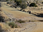 tag-02-fahrt-namib-desert-lodge-012