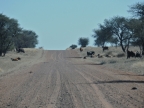 tag-02-namib-0061