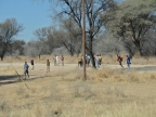 tag-02-namib-0062