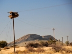 tag-02-namib-0074