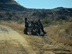 tag-02-namib-0076