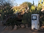 tag-02-namib-0088