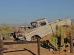 tag-02-namib-0091