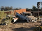 tag-02-namib-0093