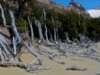 argentinien-2011-2278-fitz-roy