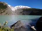 argentinien-2011-2417-huemul