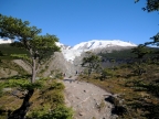 argentinien-2011-2425-huemul