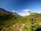 argentinien-2011-2427-huemul