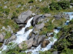 argentinien-2011-2434-huemul