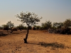 tag-09-himba-0506