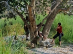 tag-09-himba-0507