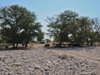 tag-09-himba-0519