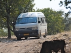 tag-09-himba-0520