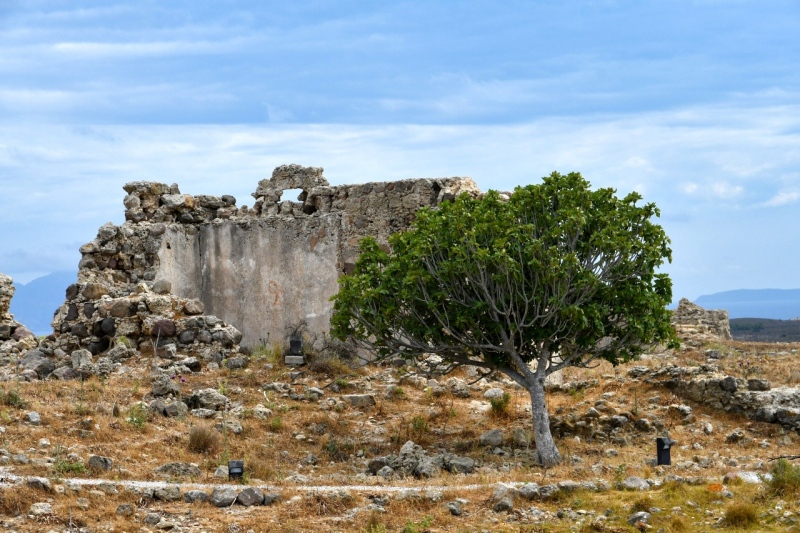 Tag-04-2-Antimachia-357