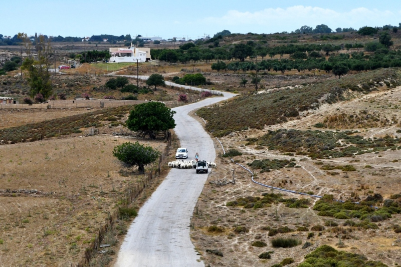 Tag-04-2-Antimachia-359