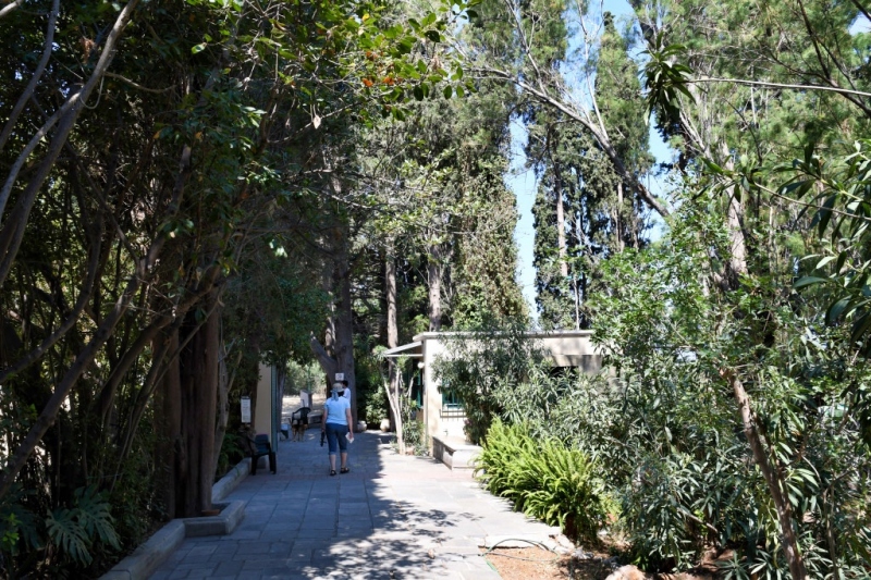 Tag-02-1-Asklepieion-124
