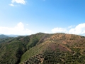 DCIM100MEDIADJI_0043.JPG