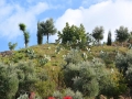 Griechenland 2017 Kreta - 0265