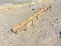 Griechenland 2017 Kreta - 0451