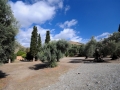 Griechenland 2017 Kreta - 0593