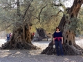 Griechenland 2017 Kreta - 0594