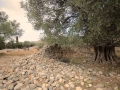 Griechenland 2017 Kreta - 0613