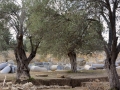 Griechenland 2017 Kreta - 0624
