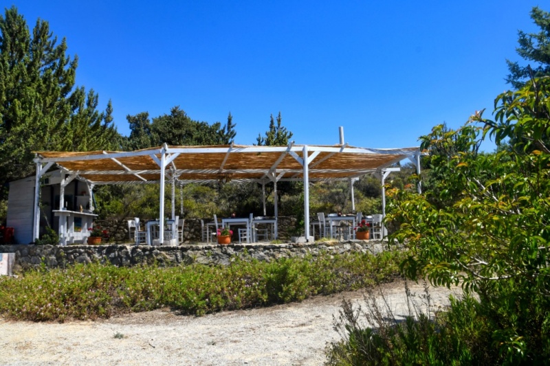 Tag-08-3-Hippocrates-Garden-570