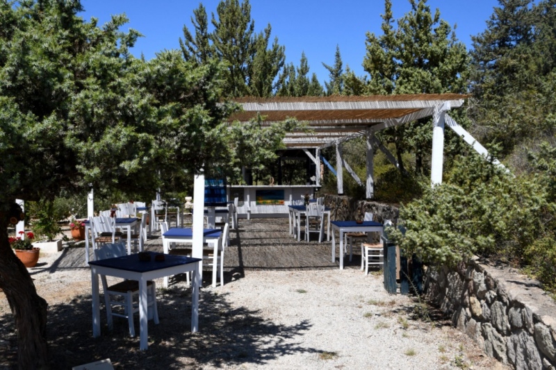 Tag-08-3-Hippocrates-Garden-584