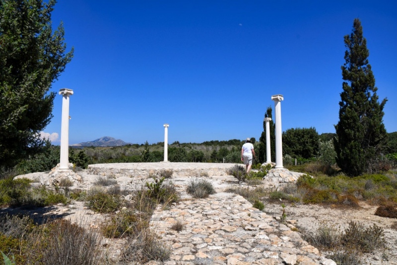 Tag-08-3-Hippocrates-Garden-587