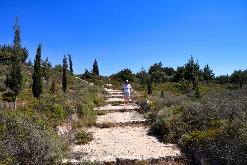 Tag-08-3-Hippocrates-Garden-589
