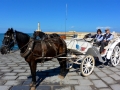 Griechenland 2017 Kreta - 0071