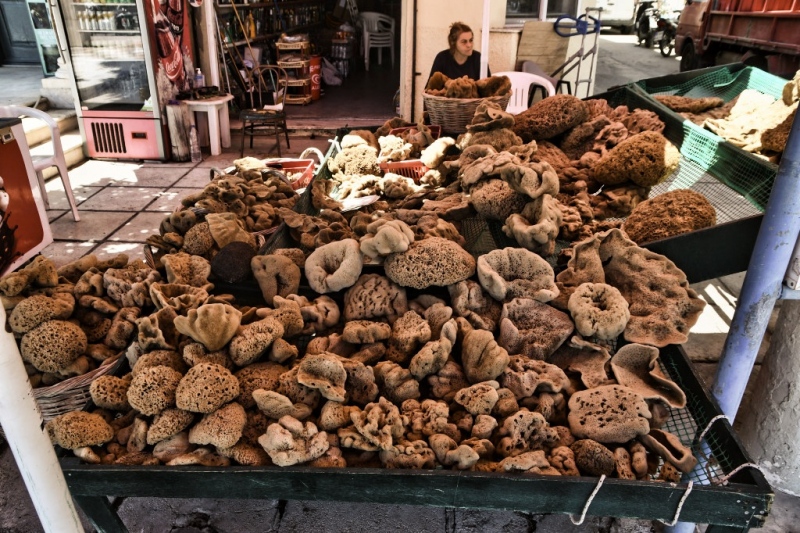 Tag-03-2-Kalymnos-252