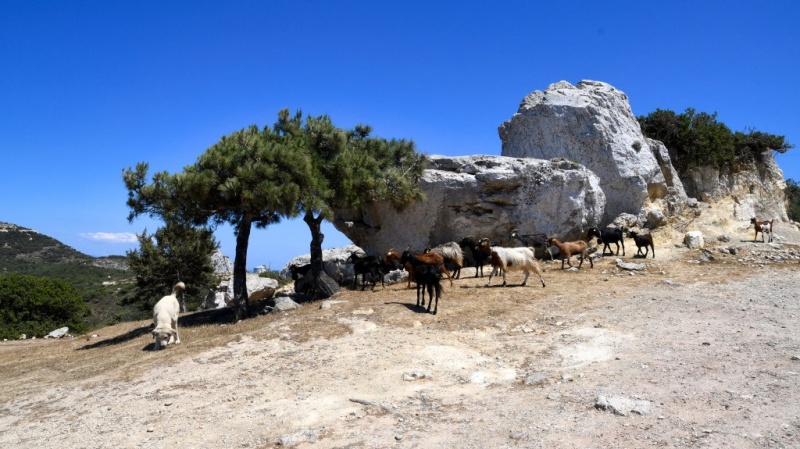 Tag-05-Halbinsel-Kefalos-380