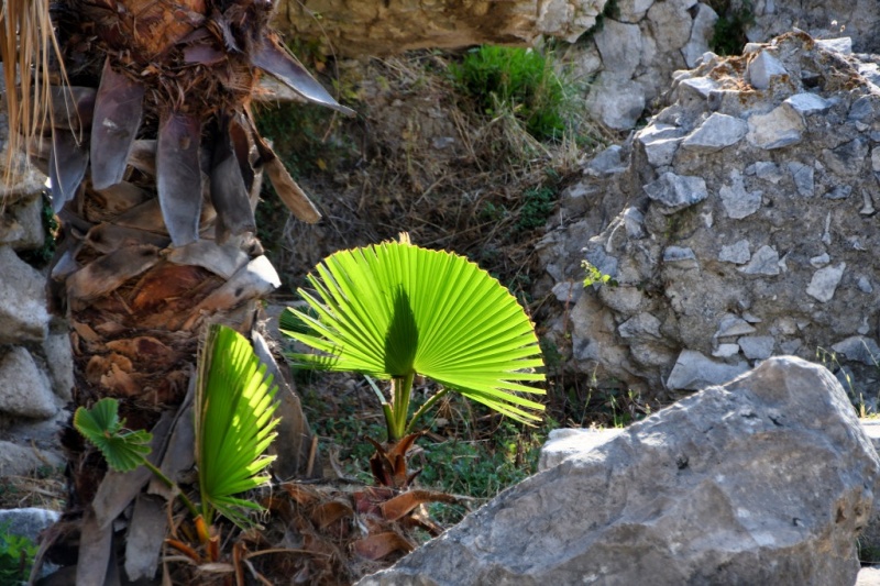 Tag-01-Kos-Stadt-Web-043