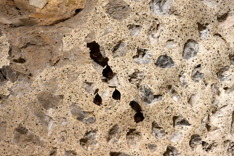 Tag-08-Kos-Stadt-Web-071