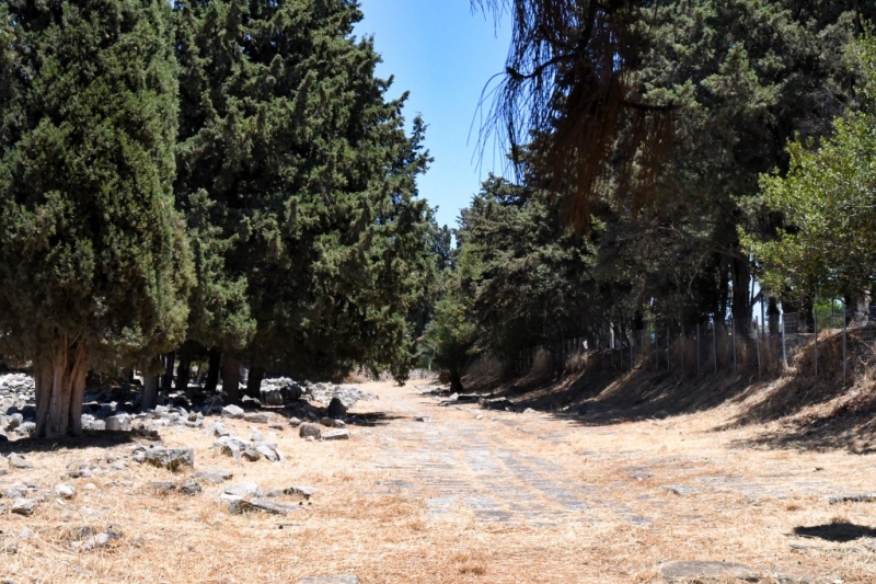 Tag-08-Kos-Stadt-Web-073