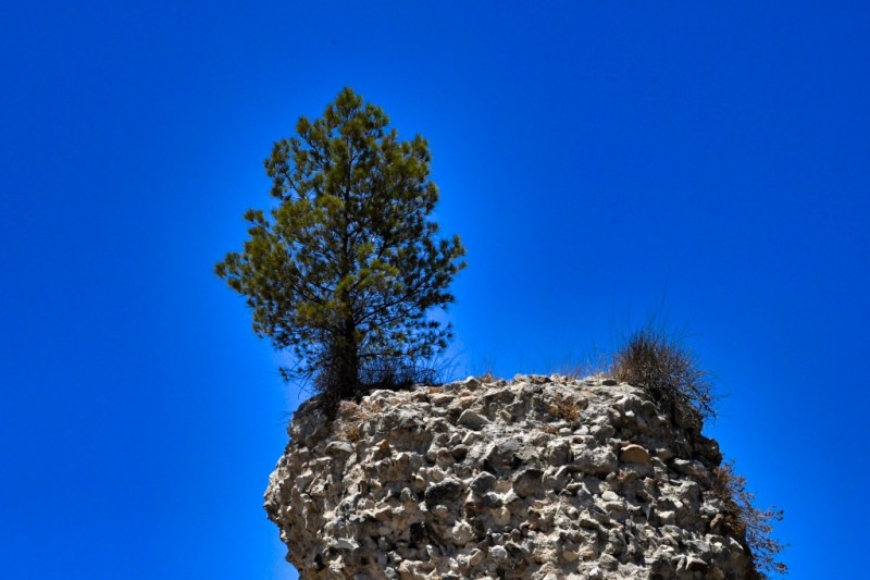 Tag-08-Kos-Stadt-Web-078