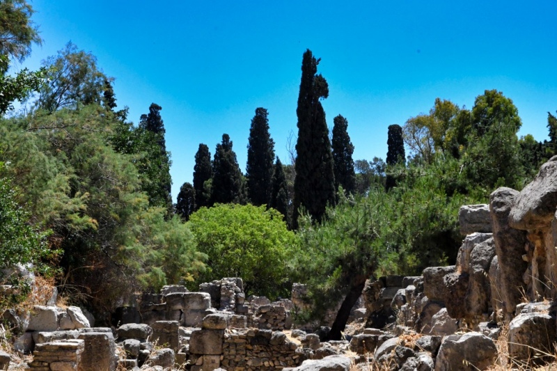 Tag-08-Kos-Stadt-Web-081