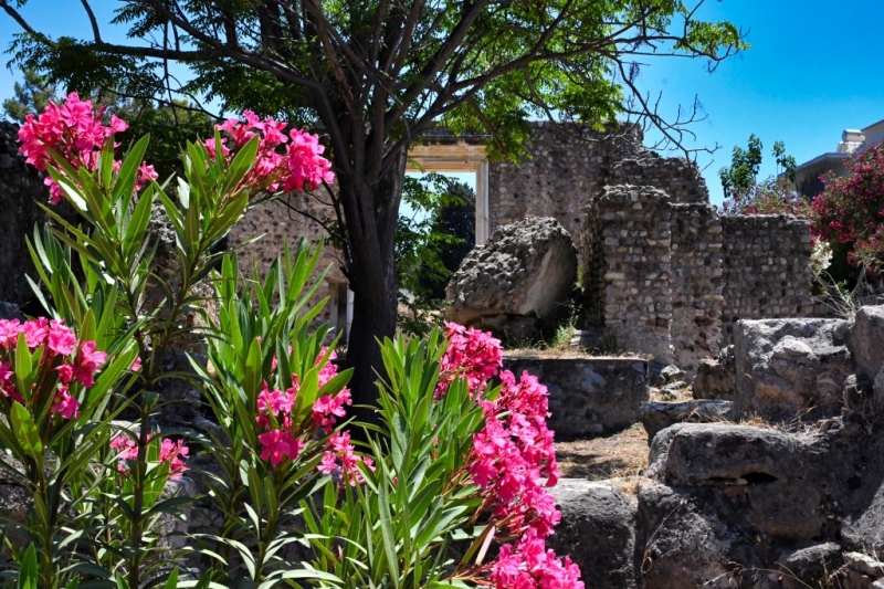 Tag-08-Kos-Stadt-Web-095
