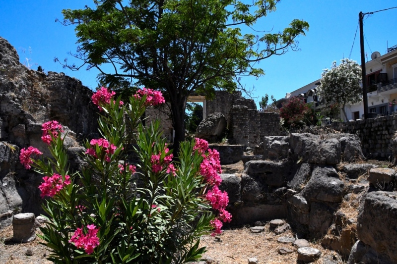 Tag-08-Kos-Stadt-Web-096