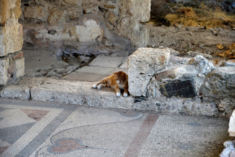 Tag-08-Kos-Stadt-Web-119